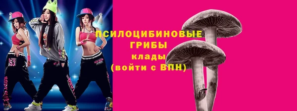 хмурый Наволоки
