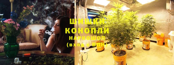 трава Надым