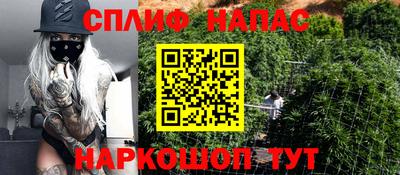 сатива Усть-Илимск