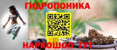 сатива Усть-Илимск