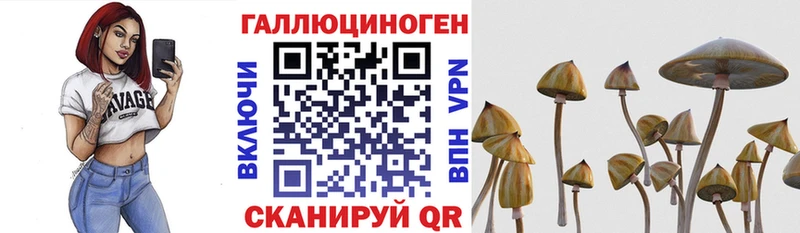 наркота  Советск  Псилоцибиновые грибы мухоморы 